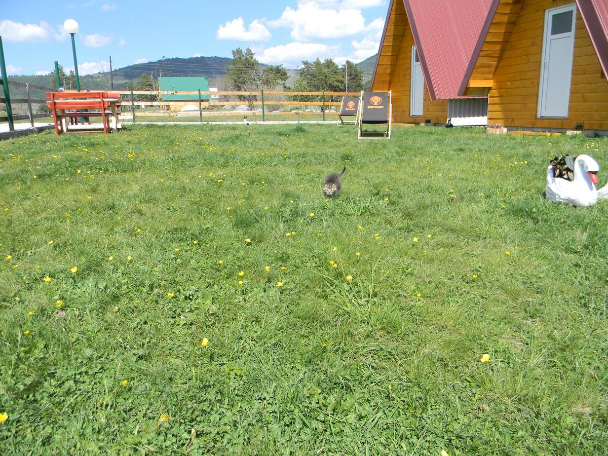 Cottage Borje Žabljak Екстериор снимка